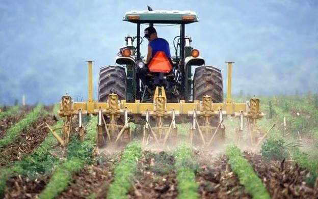 Farm Soil Bioremediation Consultation