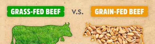 The Ultimate Guide to Grass-Fed vs. Grain-Fed Beef: Understanding the Differences
