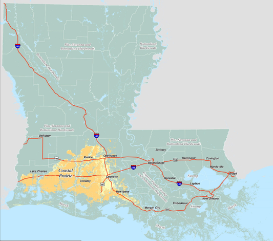 What Is the Louisiana Prairie—and Why Does It Matter to You?