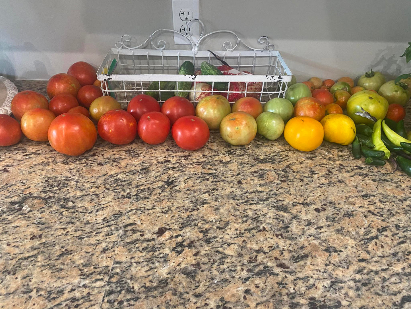 CSA VEGETABLE BOX